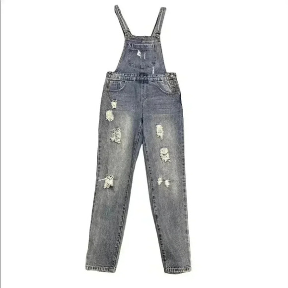 Brandy Melville Pants - Brandy Melville John Galt Distressed Denim Overalls